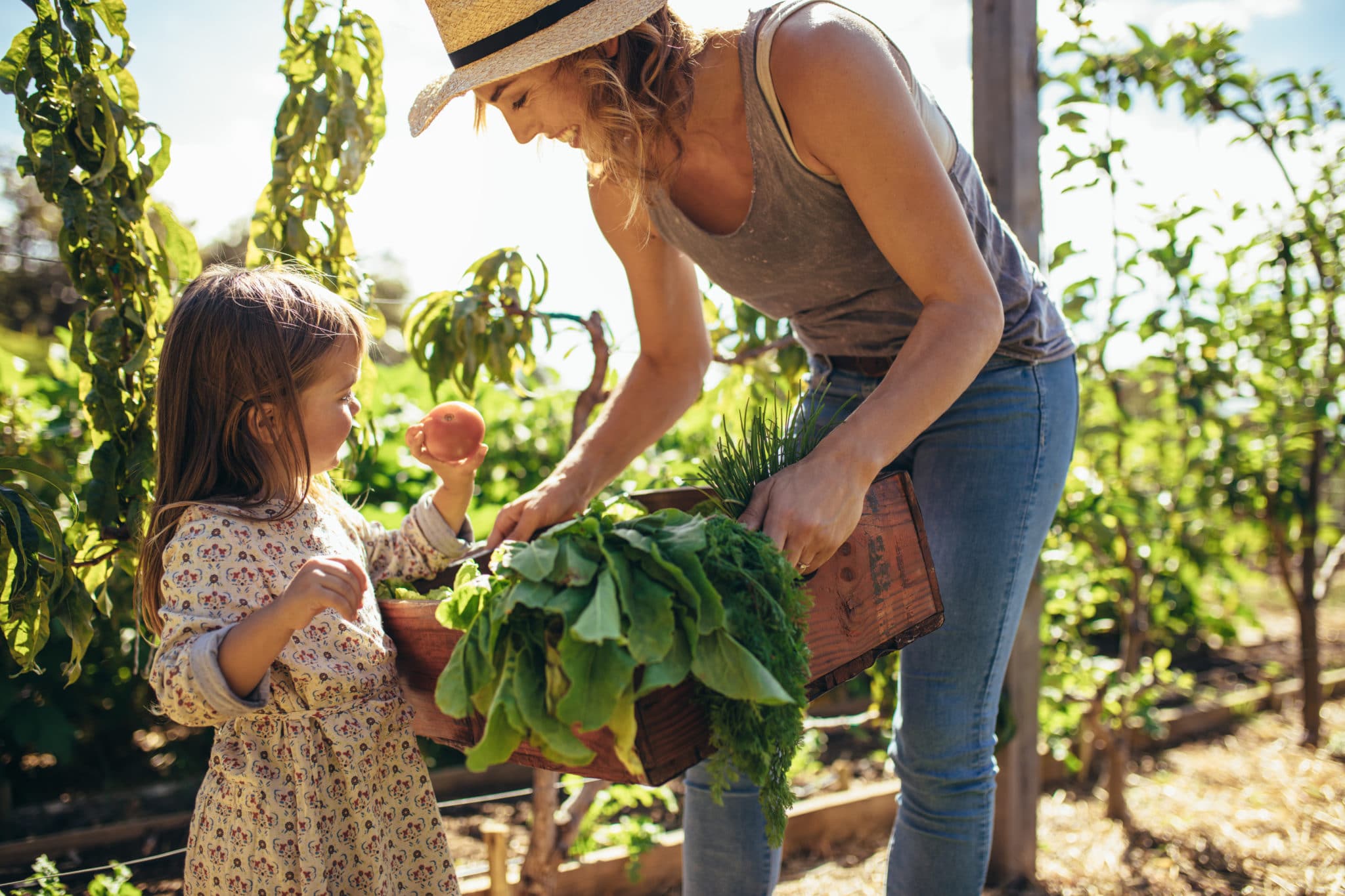 garden therapy