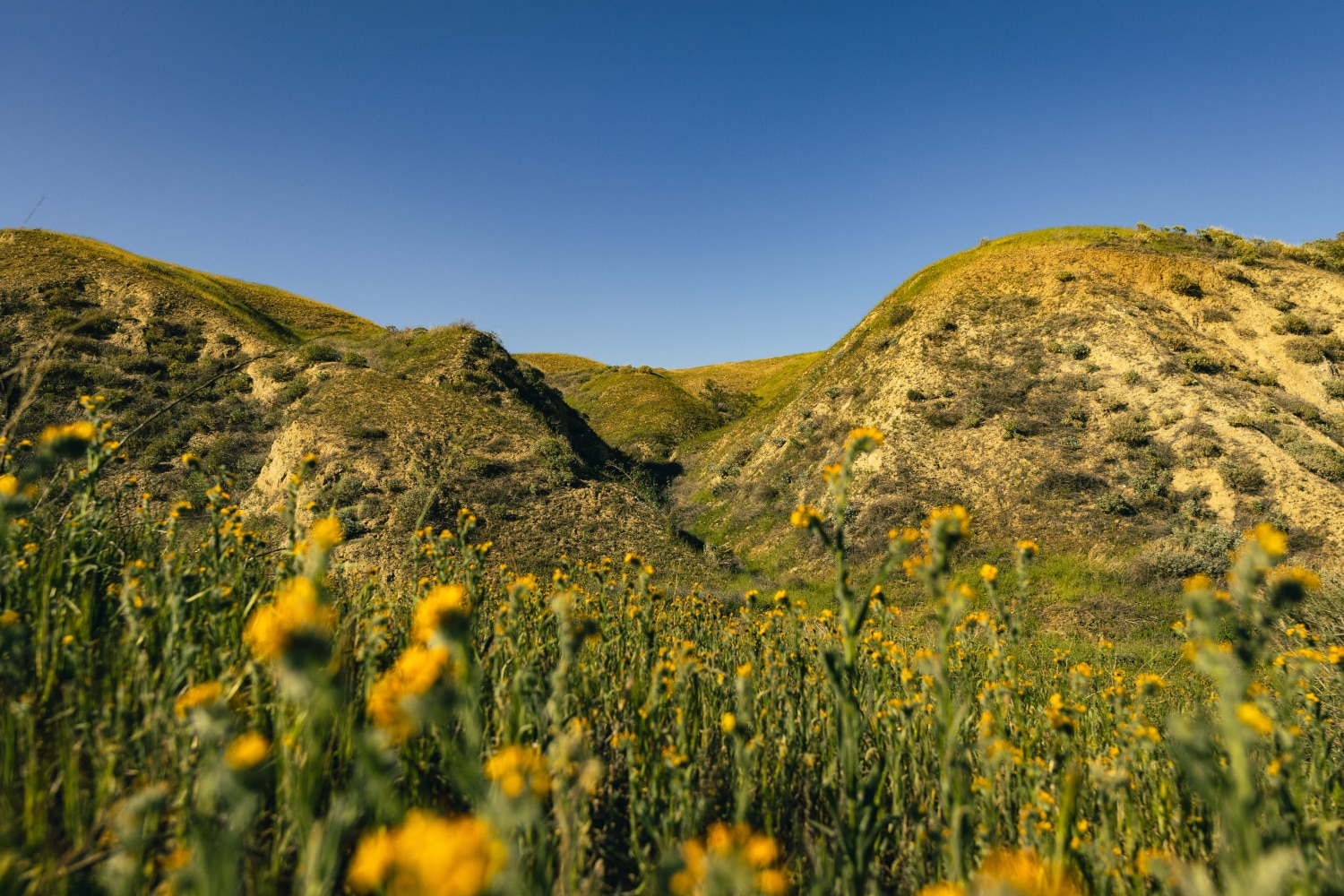 San Bernadino