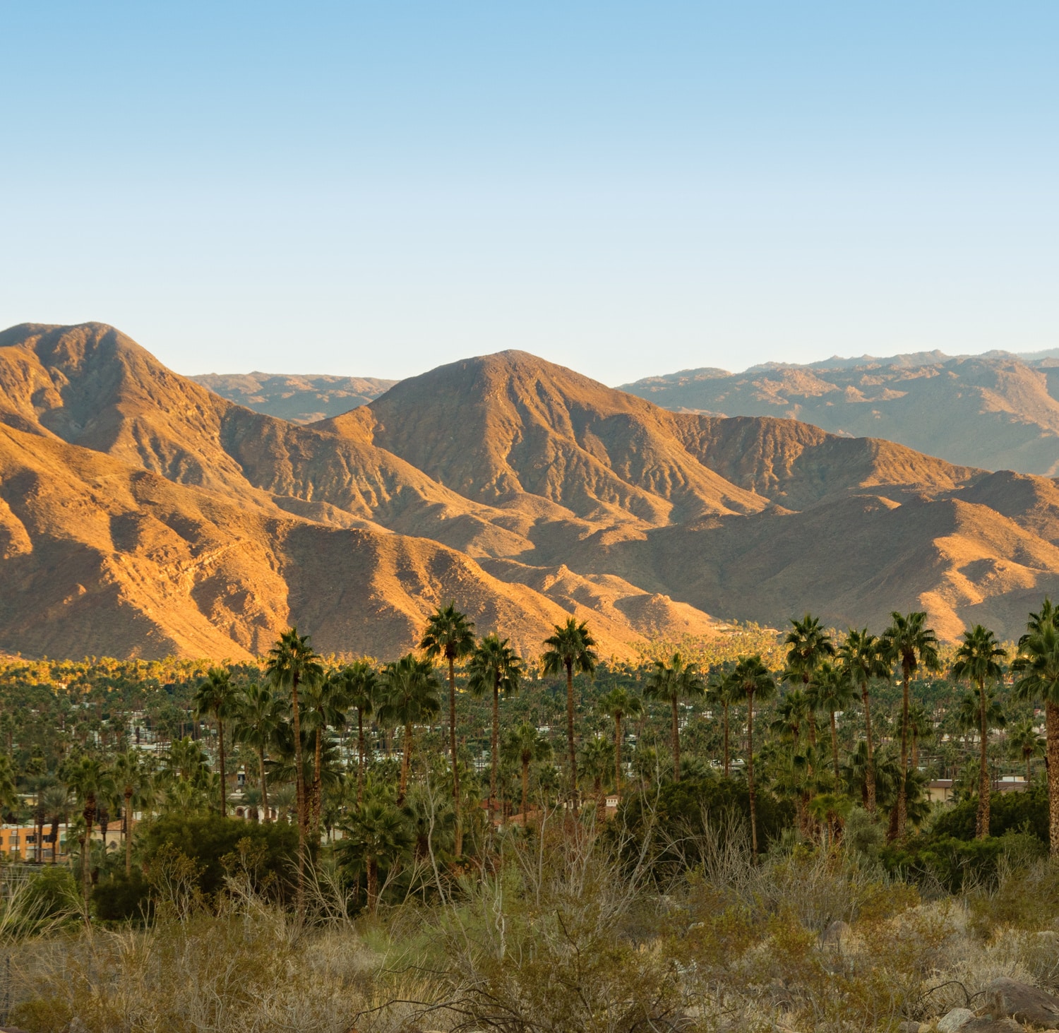 Palm Springs 