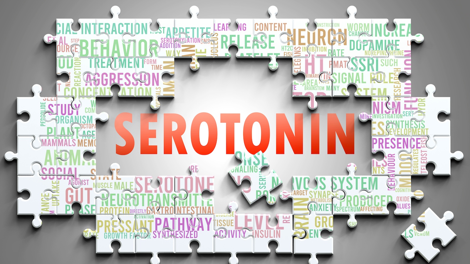 Serotonin info graphic